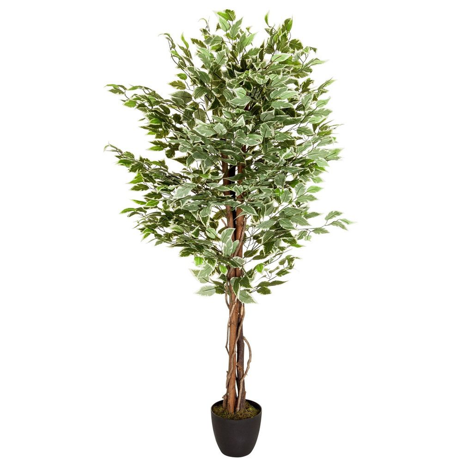 Hjh Office Kunstpflanze Kunstbaum Ficus Kunststoffpflanze Kunststoff Grün B-Ware - 4251084696948