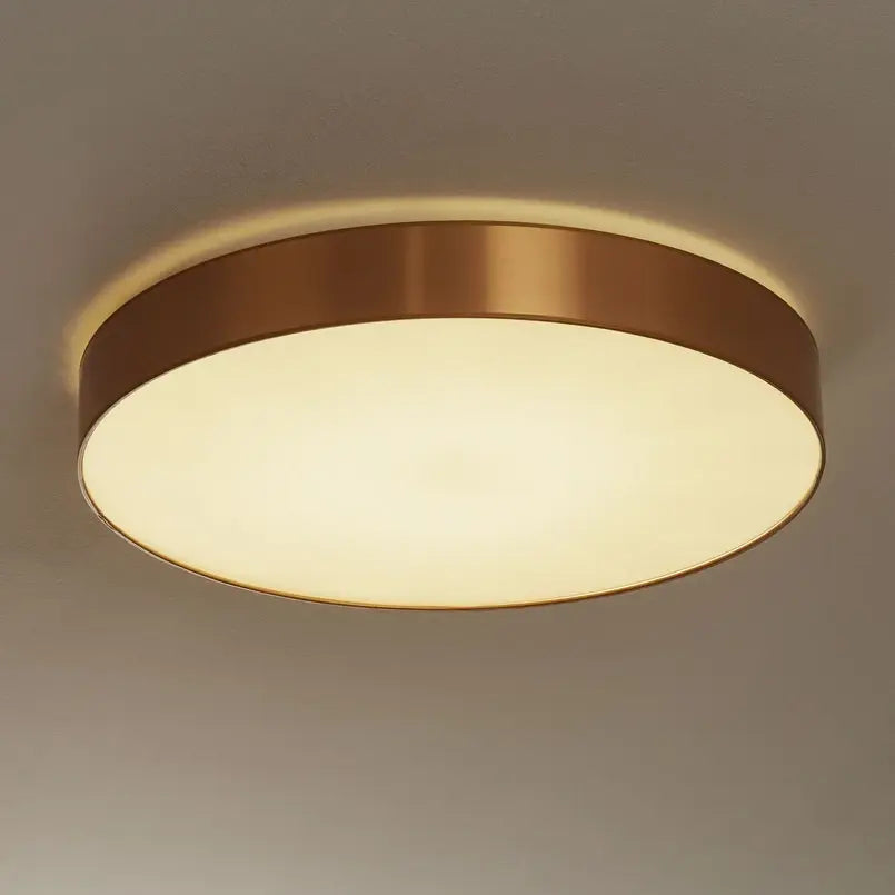 B-Ware Hufnagel Deckenlampe Deckenlampe Lampen Aurelia Dimmbar Ip20 Siehe Text/Foto - 4011868925332