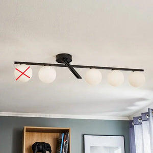 Descriptive image text