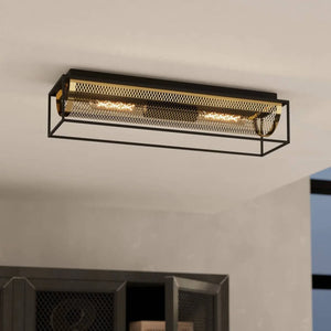 Descriptive image text