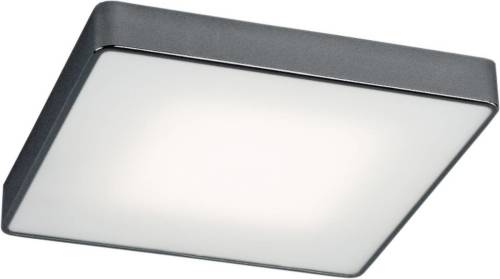Euluna Deckenleuchte Oro Deckenlampe Lampe Leuchte Deckenlicht LED E27 LED-Lampe - 5902553221893