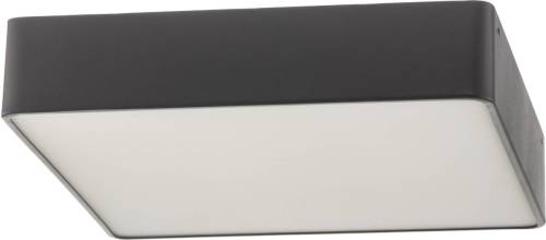 Euluna Deckenleuchte Oro Deckenlampe Lampe Leuchte Deckenlicht LED E27 LED-Lampe - 5902553221893