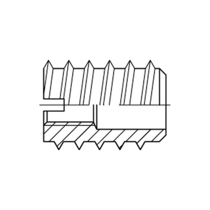 B-Ware Rampa Einschraubmutter Schraubdübel Din 7965 Stahl M 6 X 15 Verzinkt 12 Mm - 4051426202345