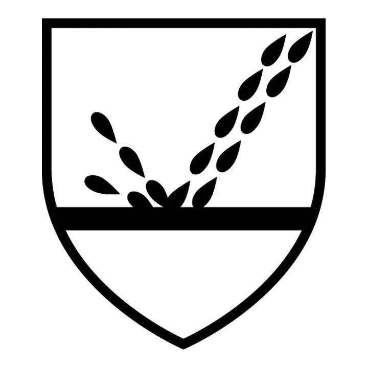 B-Ware Dupont Schutzoverall Anzug Tychem 2000 C Gelb Unisex Größe Xl  7 Stück - 5450208004655