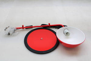 Descriptive image text