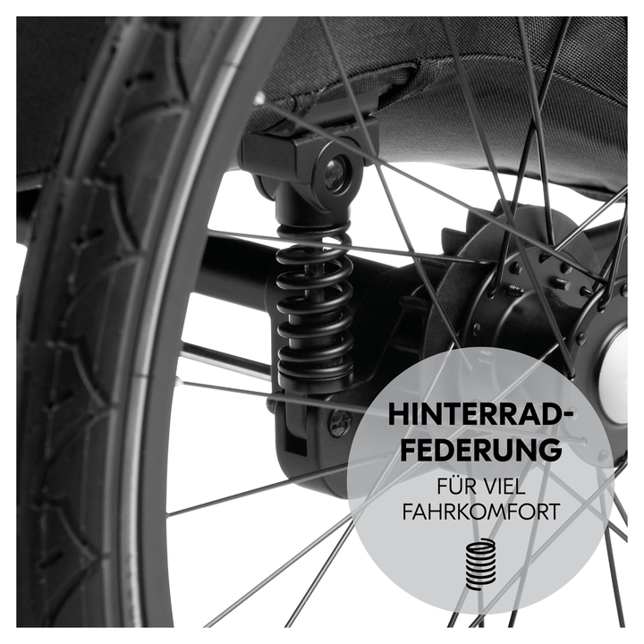 Hauck Dryk Duo Plus 2in1 Fahrradanhänger/Buggy Radanhänger Anhänger Buggy Black  B-Ware