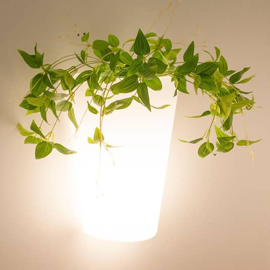 B-Ware Mantra Iluminación Außenwandlampe Teja Wandleuchte Wandlampe Pflanzentopf Blumen
