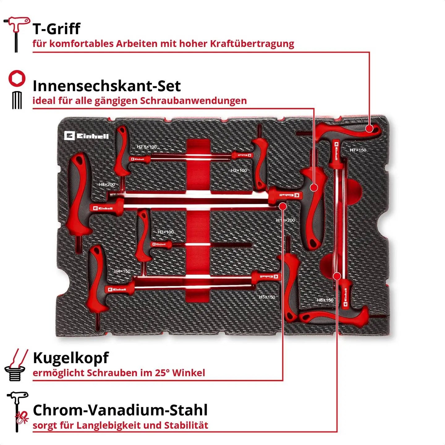 B-Ware Einhell Einlegeboden Einlage Einsatz E Case T Griff Schraubendreher Set 9 Teilig - 4009313705264