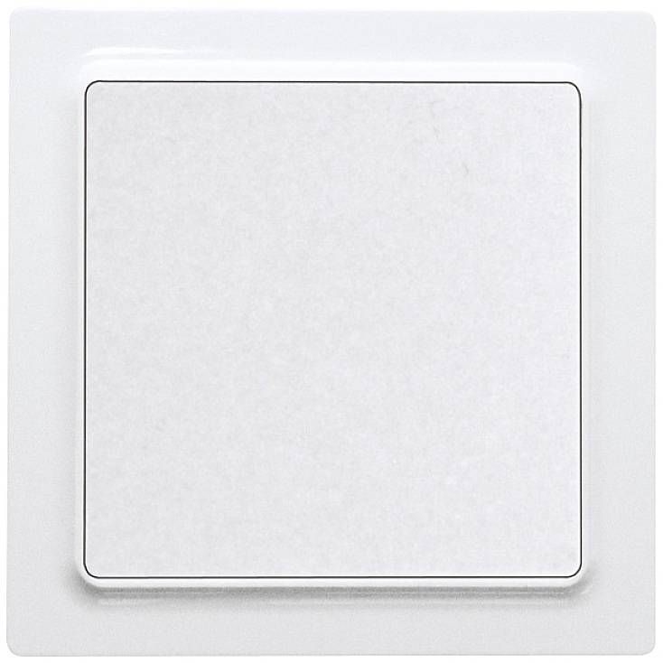 Eltako Wipptaster Schalter Weiß Einzeltaster Kunststoff Glänzend 250 V Ac 10 A B-Ware - 4010312322383