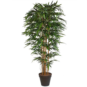 B-Ware Eurogreens Kunstpflanze Bambus Ca. 180cm Kunstbambus Jade Bambus Naturgrün