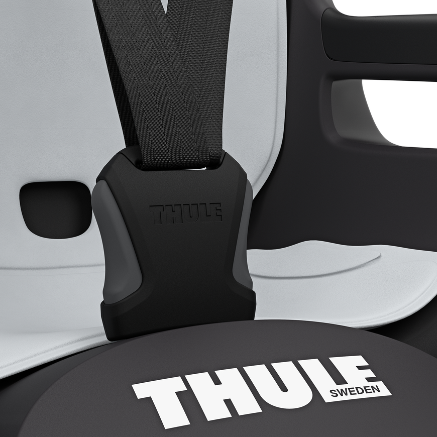 Thule Ride Along 2 Dark Grey Fahrradsitz Kindersitz Kinderfahrradsitz Rad Fahr268 B-Ware