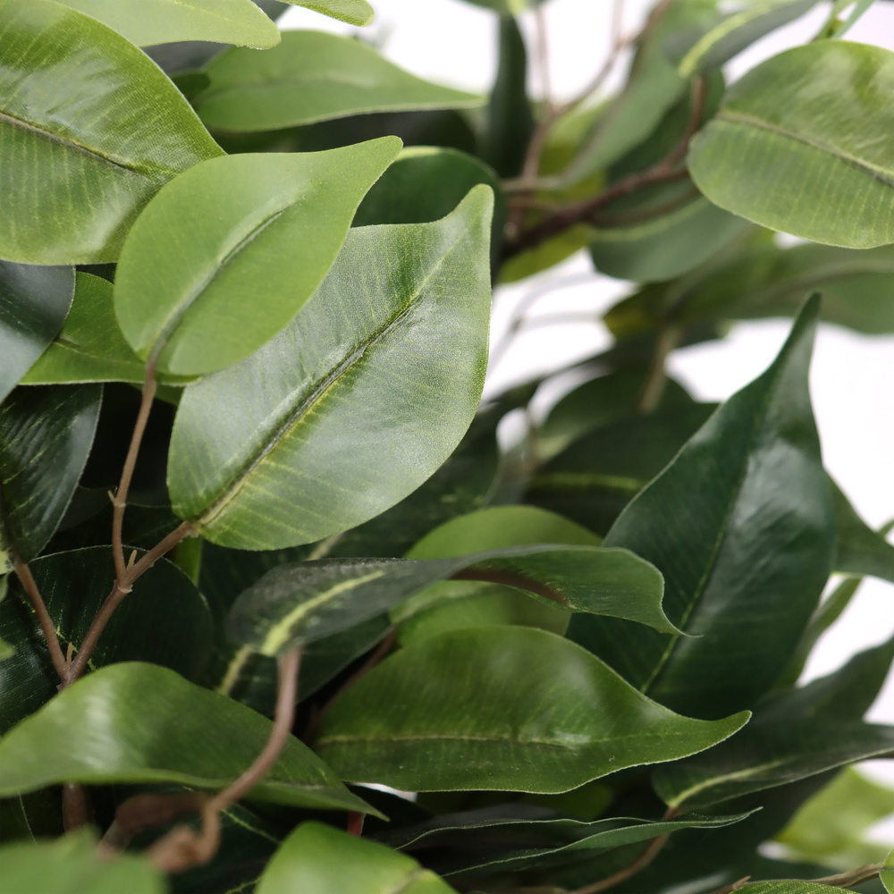 B-Ware Hjh Office Kunstpflanze Kunstbaum Ficus Ii Kunst Pflanze Dekopflanze 65 Cm Grün