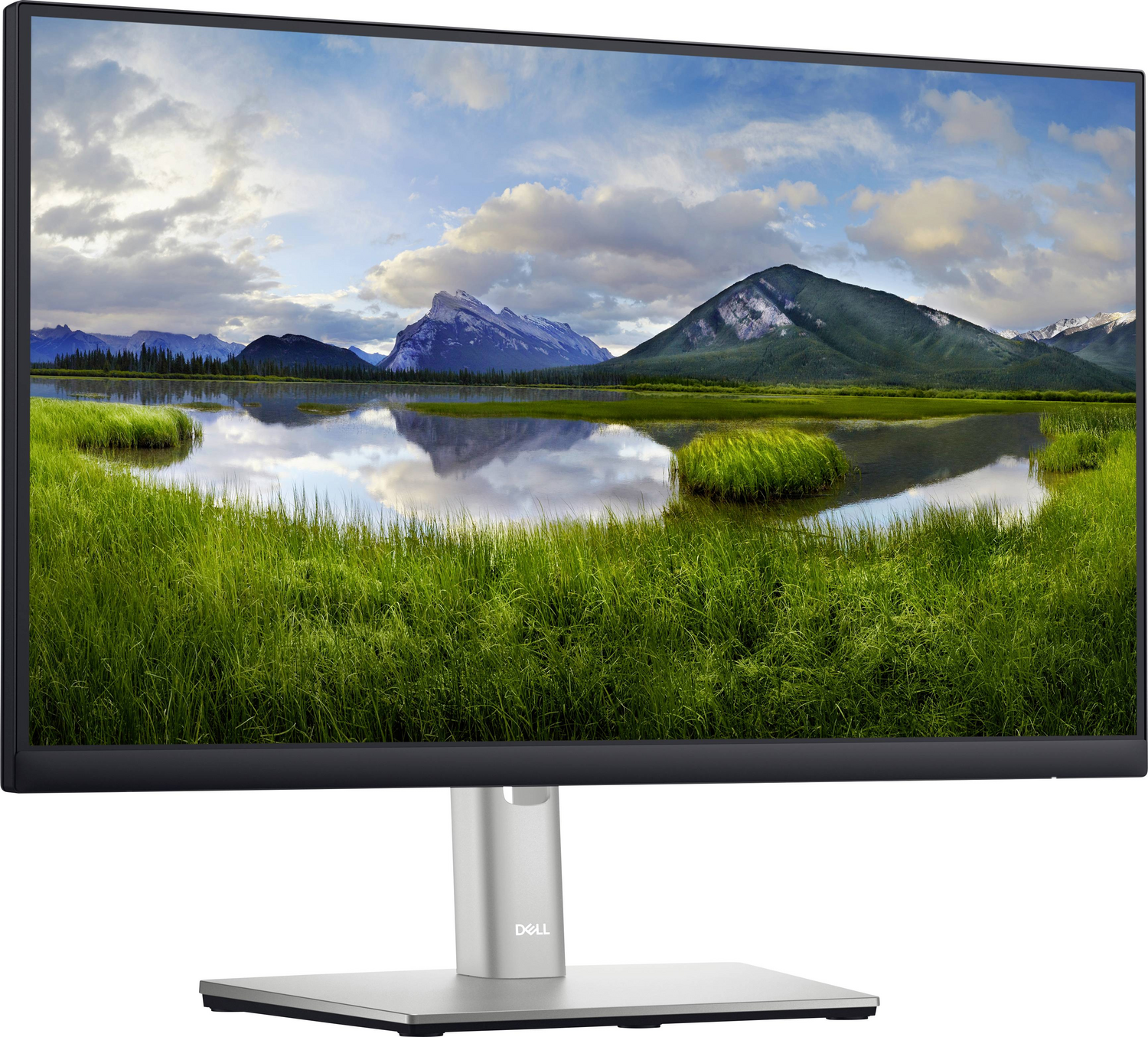 Dell P2222H LED-Monitor Computermonitor Bildschirm DEFEKTWARE