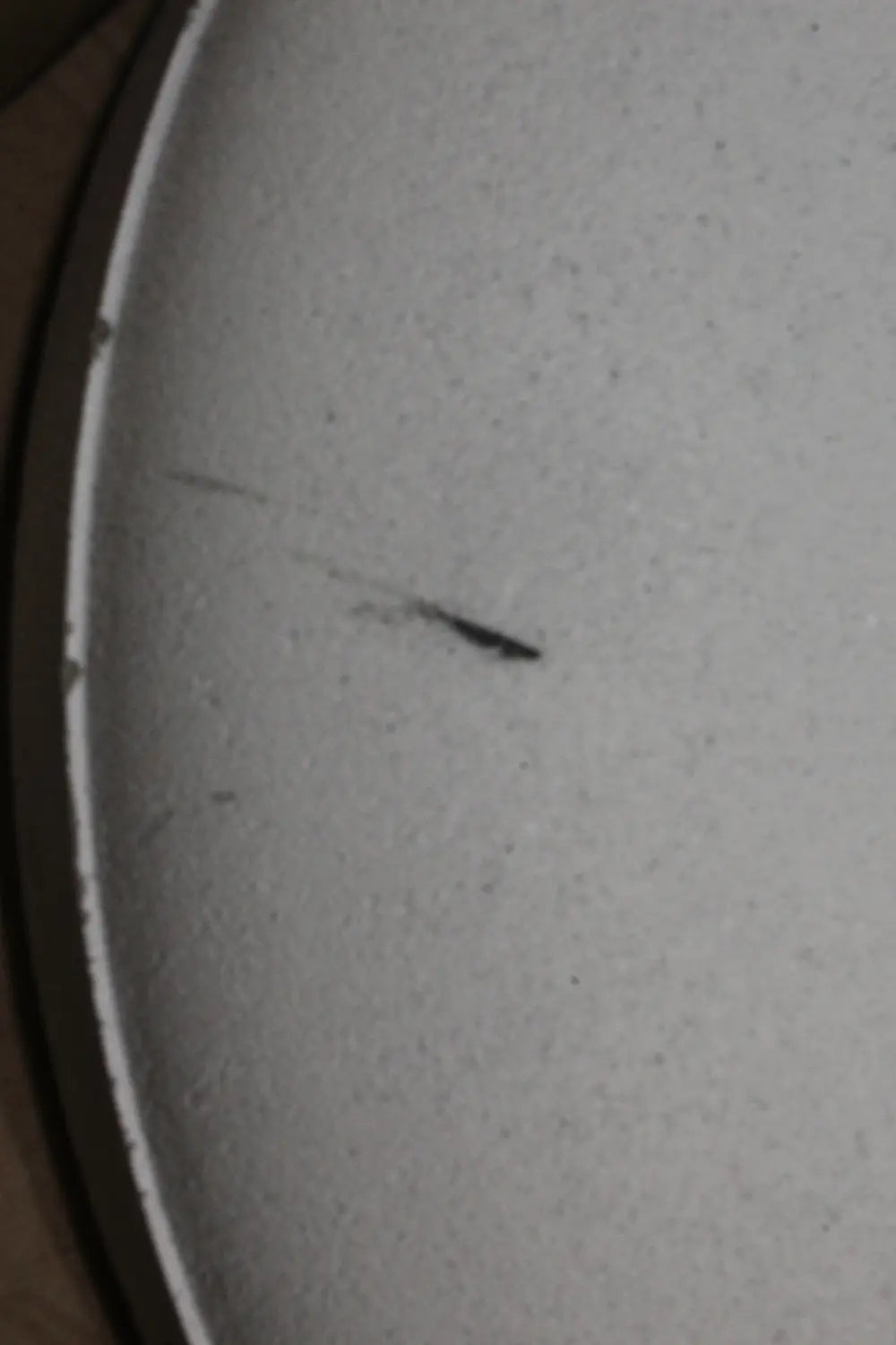 B-Ware Fermob Betonfuß Sockel Sonnenschirmständer 30kg Weiß Basics Siehe Text/Foto - 349586