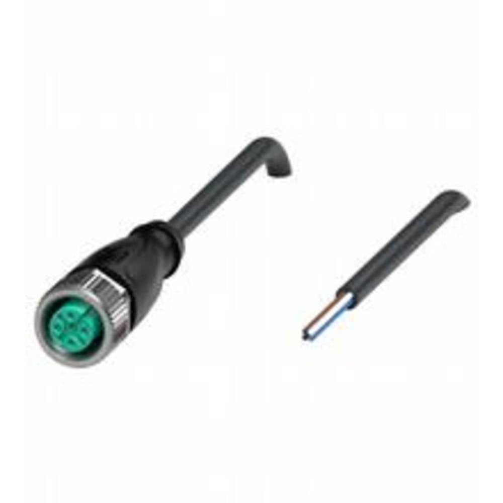Pepperl+Fuchs 239998 0032 Sensor /Aktor Steckverbinder Konfektioniert Verbinder B-Ware - 4050143185207