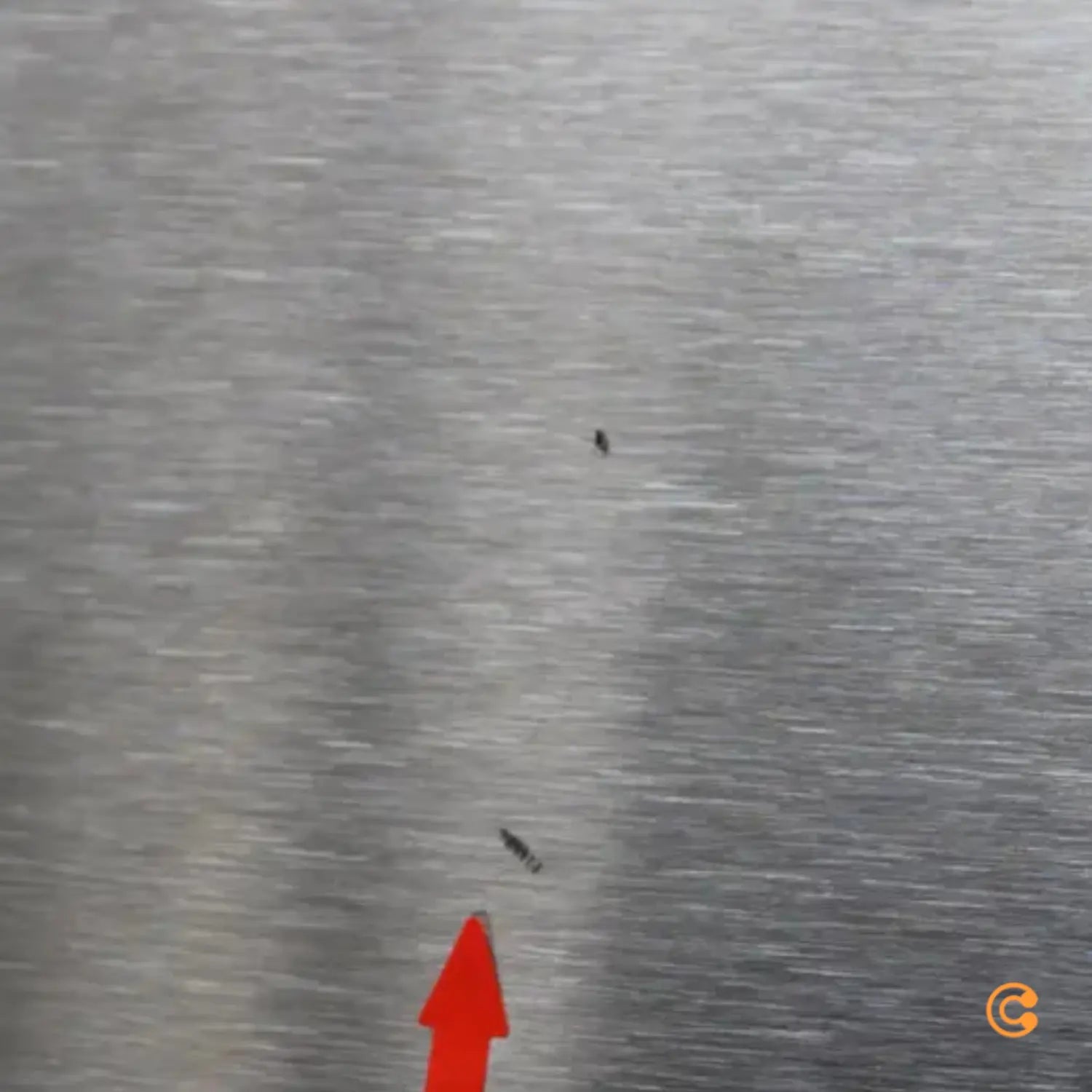 B-Ware Frama Shelf Wandregal Hängeregal Wandablage Regal Ablageregal Siehe Text/Foto317 - 5712828083619