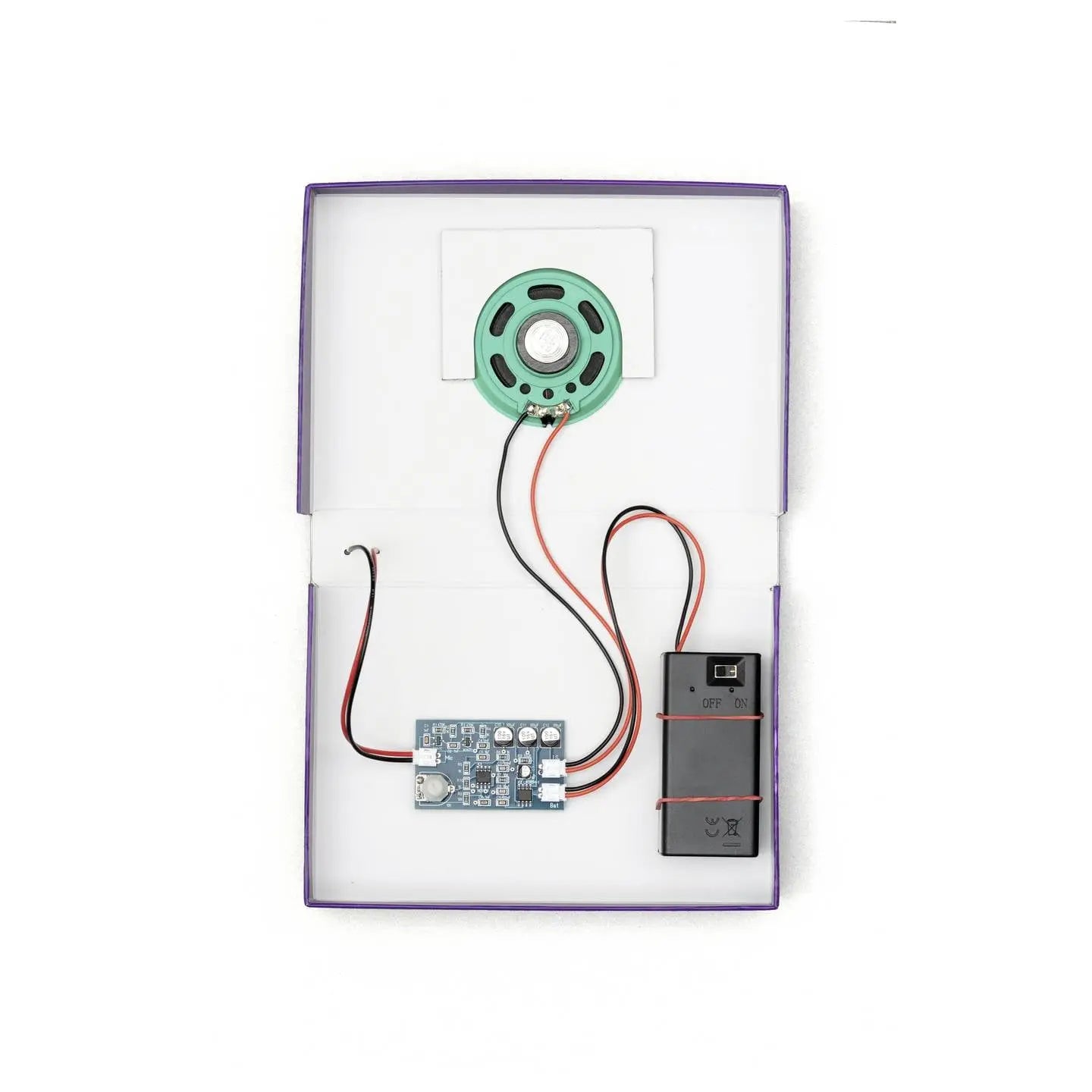 B-Ware Franzis Experimentierkasten Bausatz Set Fledermausdetektor Fledermaus Checker - 4019631672483