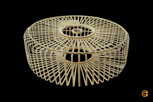 Descriptive image text