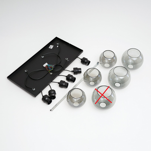 Descriptive image text