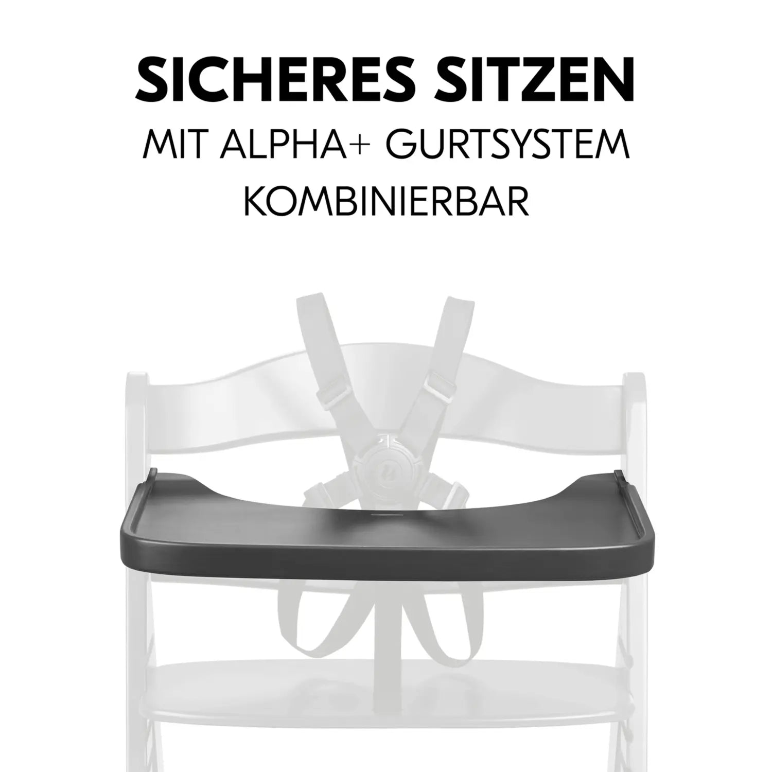 B-Ware Hauck Tablett Holzbrett Ablage Alpha Beta Hochstuhl Zubehör Dunkelgrau - 4007923550564