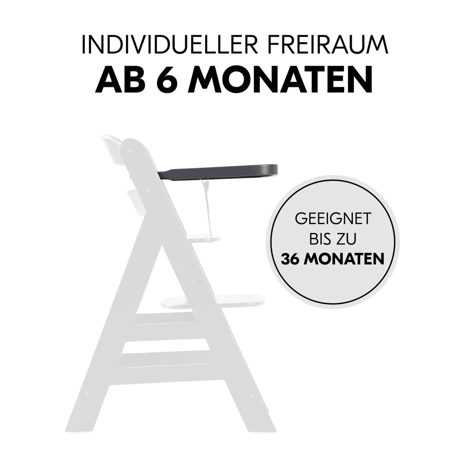 B-Ware Hauck Tablett Holzbrett Ablage Alpha Beta Hochstuhl Zubehör Dunkelgrau - 4007923550564