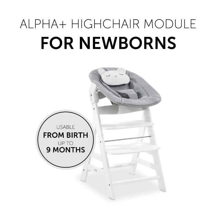 B-Ware Hauck Neugeborenenaufsatz Wippe Hochstuhl Bouncer 2in1 Pastell Bear - 4007923661833