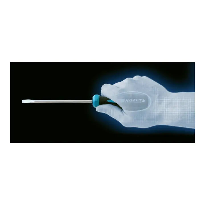 B-Ware Hazet Schraubendreher Schraubenzieher Schlitz Profil Griff 811 Lg 55 Sw 1x5,5mm - 4000896258703