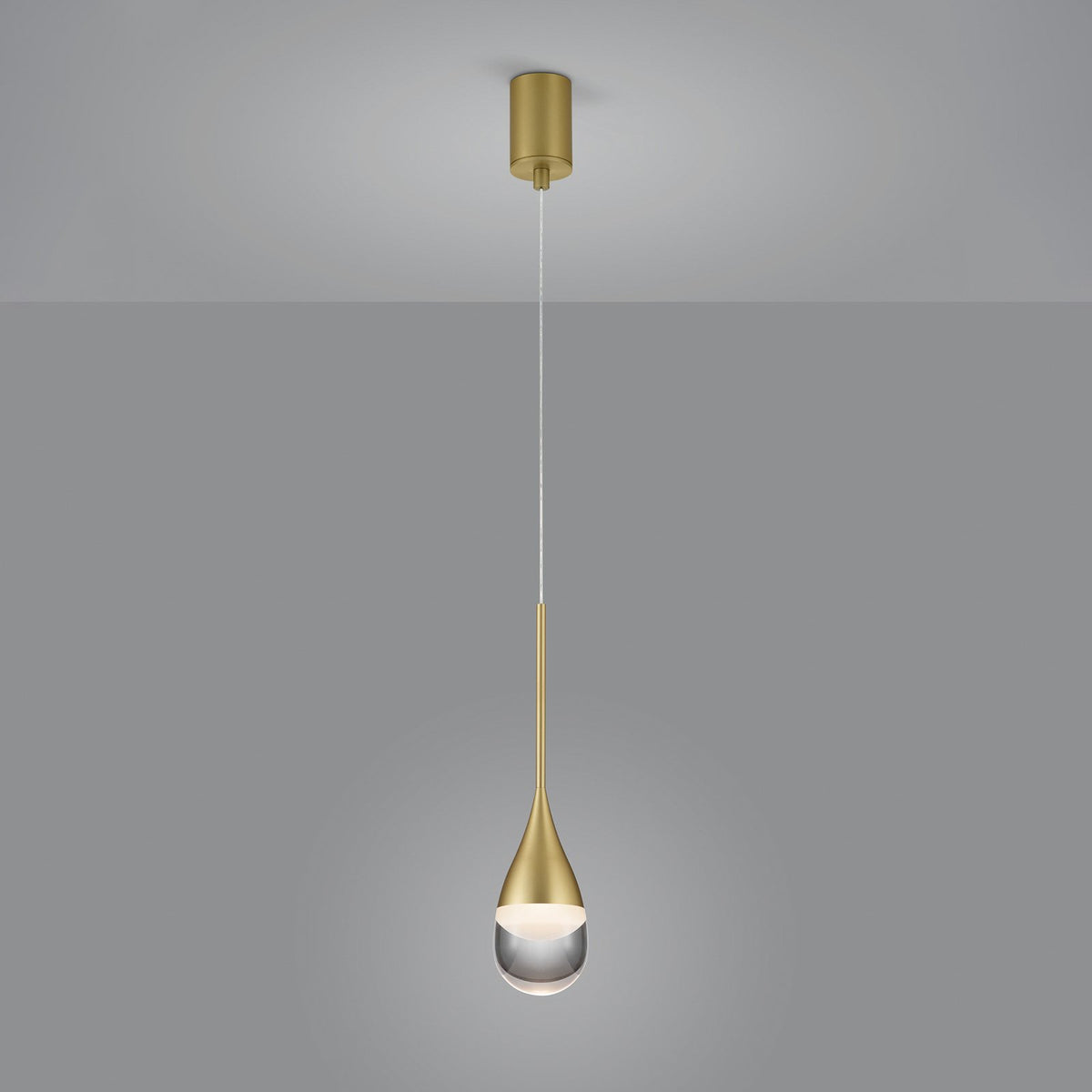 Helestra Hängeleuchte Pendelleuchte LED gold matt Glas Aluminium transparent - 4022671113489
