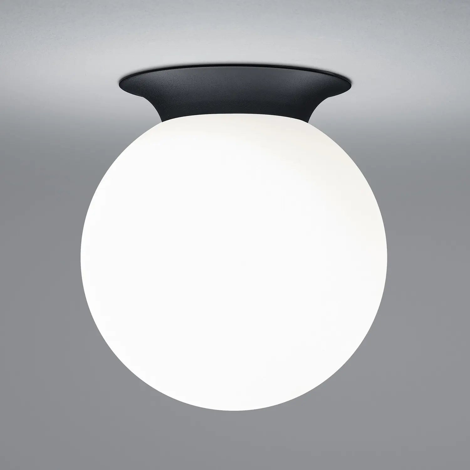 B-Ware Hell Deckenleuchte Lampe Blob Kugelschirm Opalglas Schwarz ø 20 Cm E27 - 4045542230375