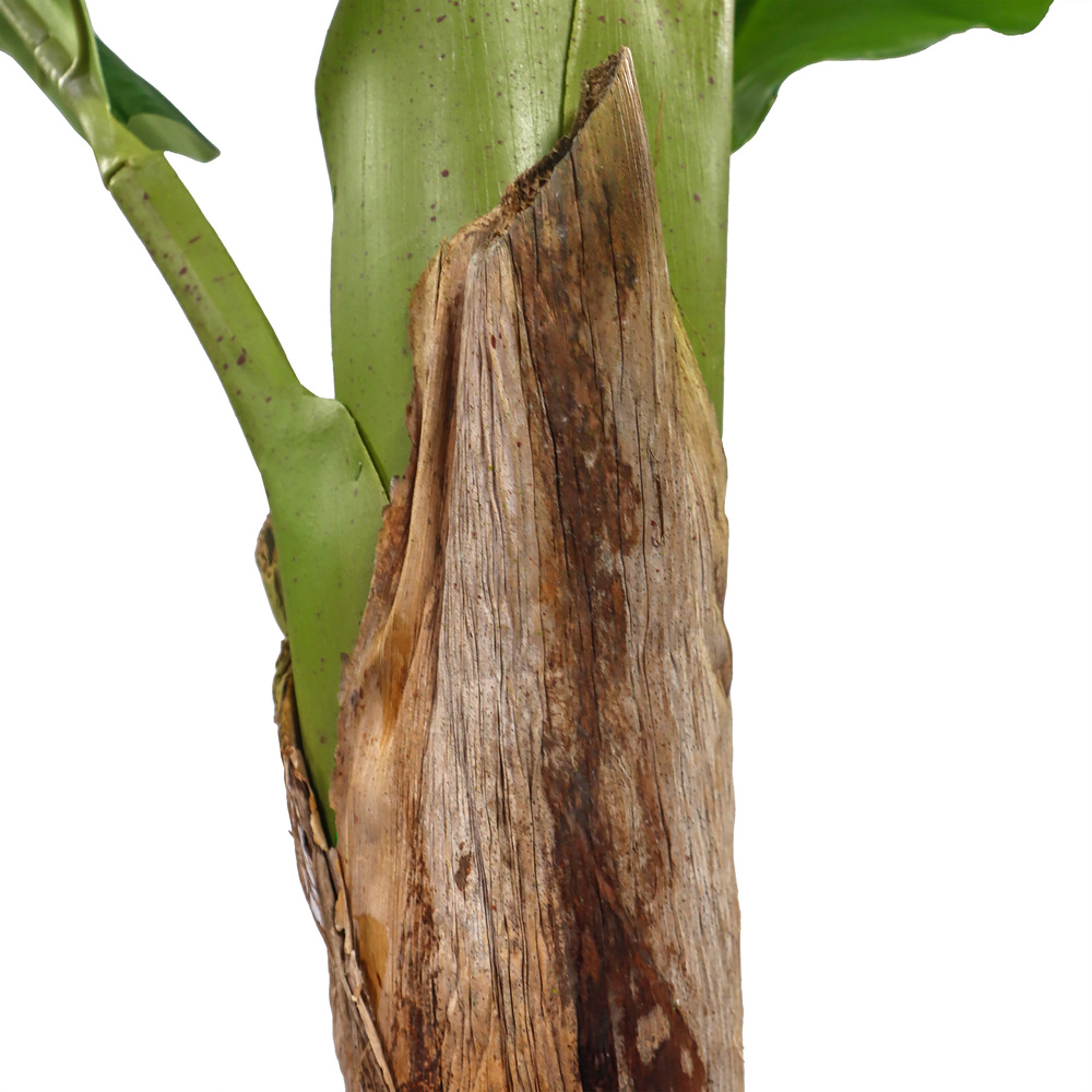 B-Ware Hjh Office Banane I Kunstpflanze Kunstbaum Kunstbepflanzung 150 Cm835