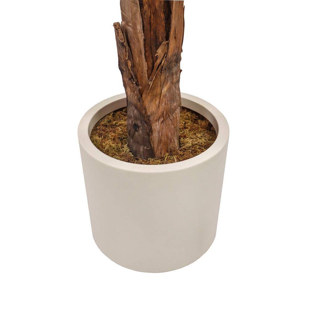 B-Ware Hjh Office Banane I Kunstpflanze Kunstbaum Kunstbepflanzung 150 Cm835