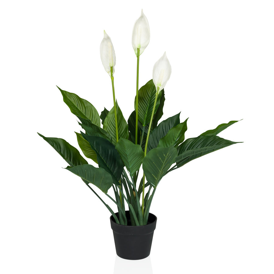 Hjh Office Kunstpflanze Kunstblume Spathiphyllum Dekopflanze 80 Cm Grün/Weiß B-Ware - 4064323038672