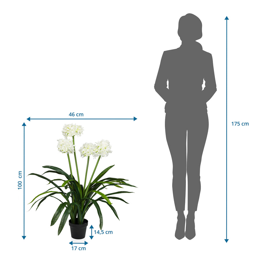 Hjh Office Kunstpflanze Agapanthus Dekopflanze Pflanze Blume Unecht B-Ware - 4064323038634