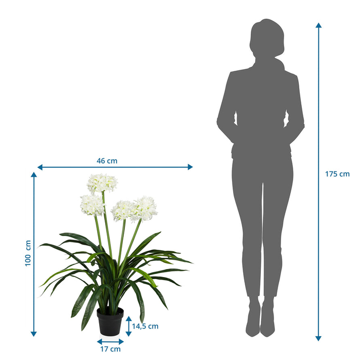 Hjh Office Kunstpflanze Agapanthus Dekopflanze Pflanze Blume Unecht B-Ware - 4064323038634