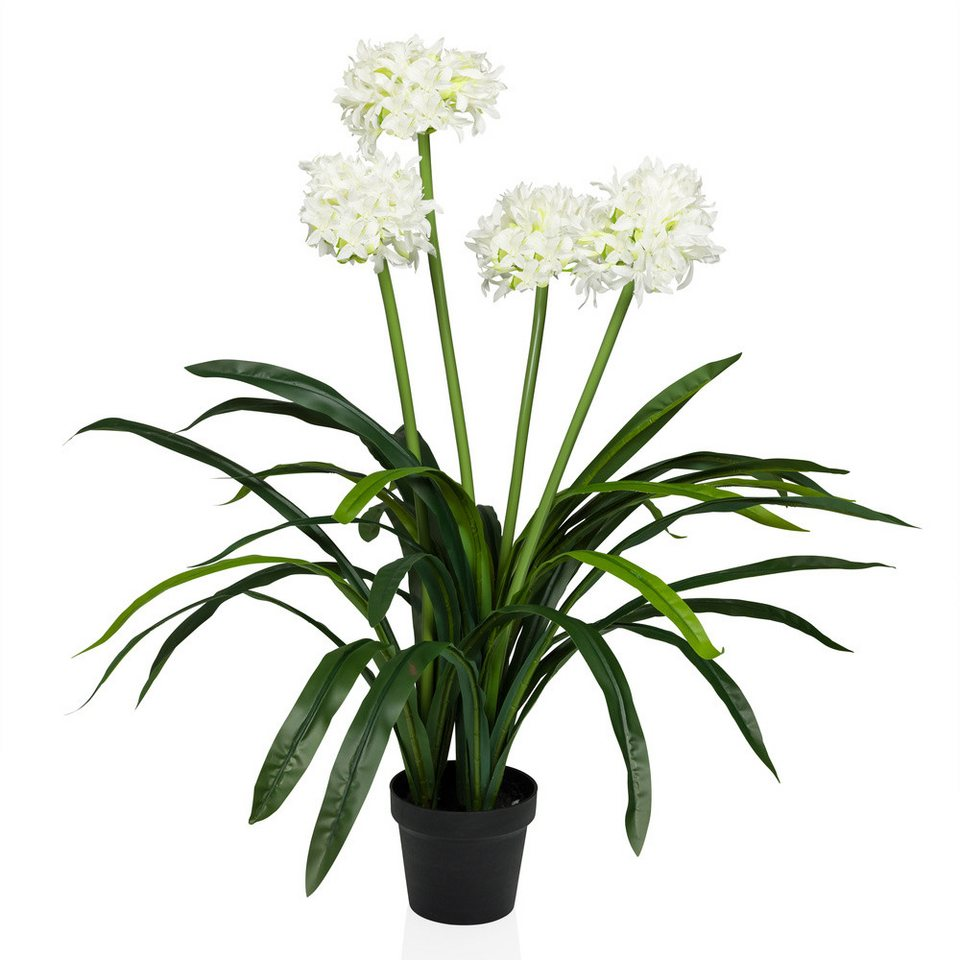 B-Ware Hjh Office Kunstpflanze Agapanthus Dekopflanze Pflanze Blume Unecht 2 Stück - 4064323038634