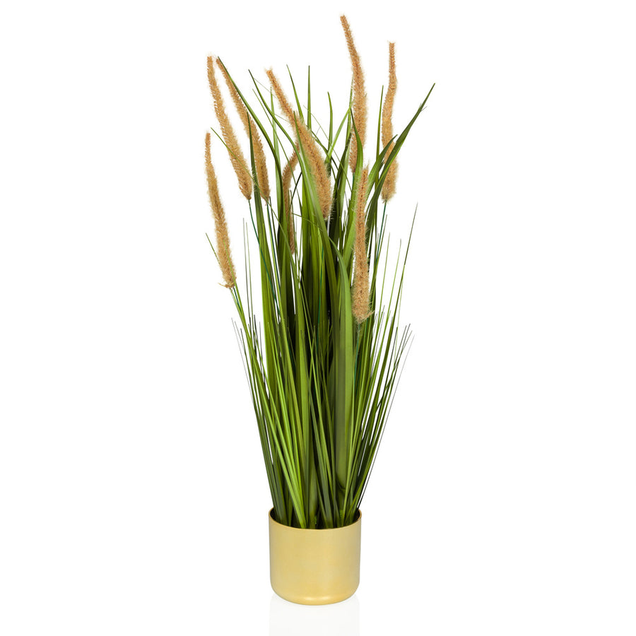 B-Ware Hjh Office Kunstpflanze Cortaderia I Dekopflanze Pampasgras 78 Cm Beige/Grün - 4064323038627