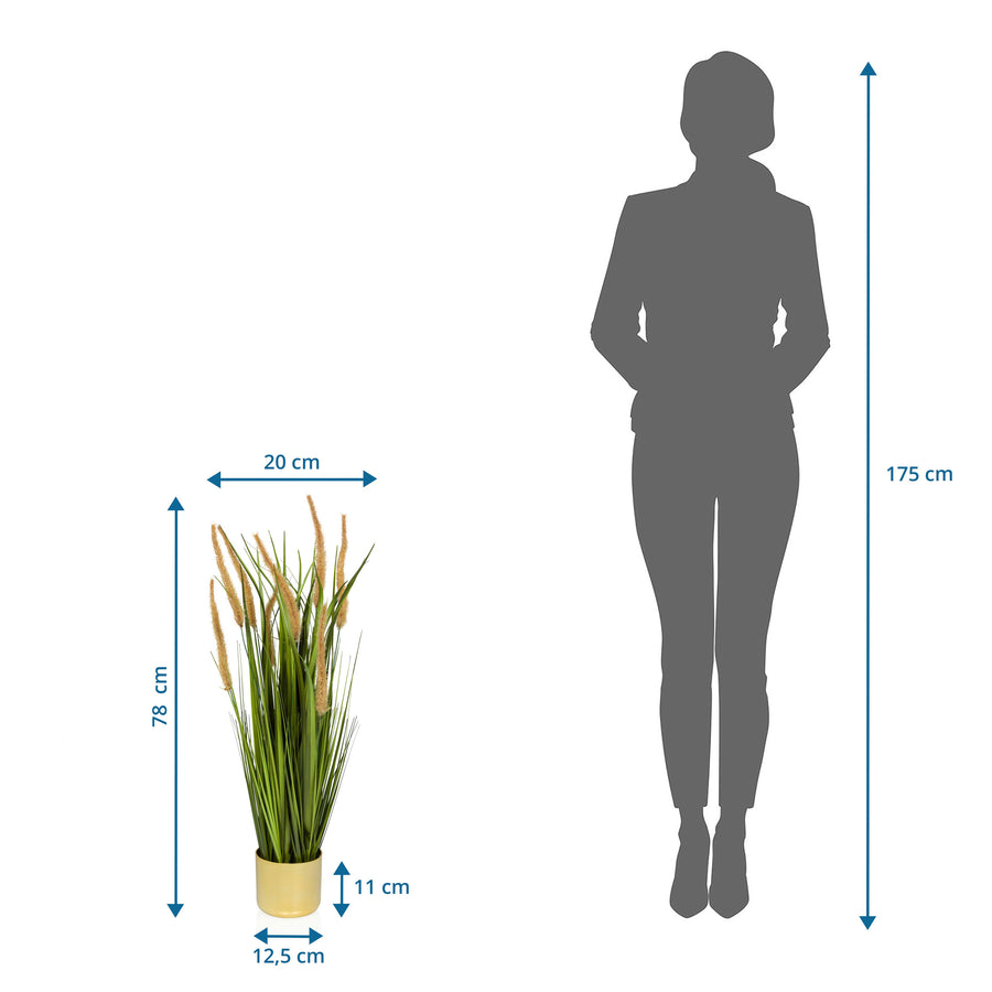 B-Ware Hjh Office Kunstpflanze Cortaderia I Dekopflanze Pampasgras 78 Cm Beige/Grün - 4064323038627