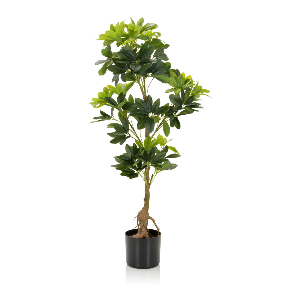 hjh OFFICE Kunstpflanze Kunstbaum Schefflera Strahlenaralie 90 cm Kunststoff - 4064323028307