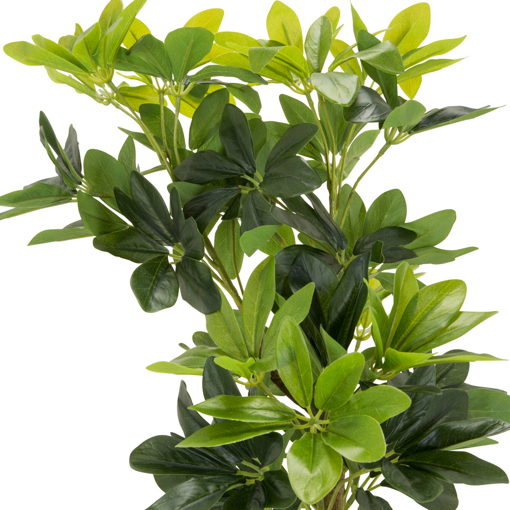 B-Ware Hjh Office Kunstpflanze Kunstbaum Schefflera Strahlenaralie 90 Cm Kunststoff - 4064323028307