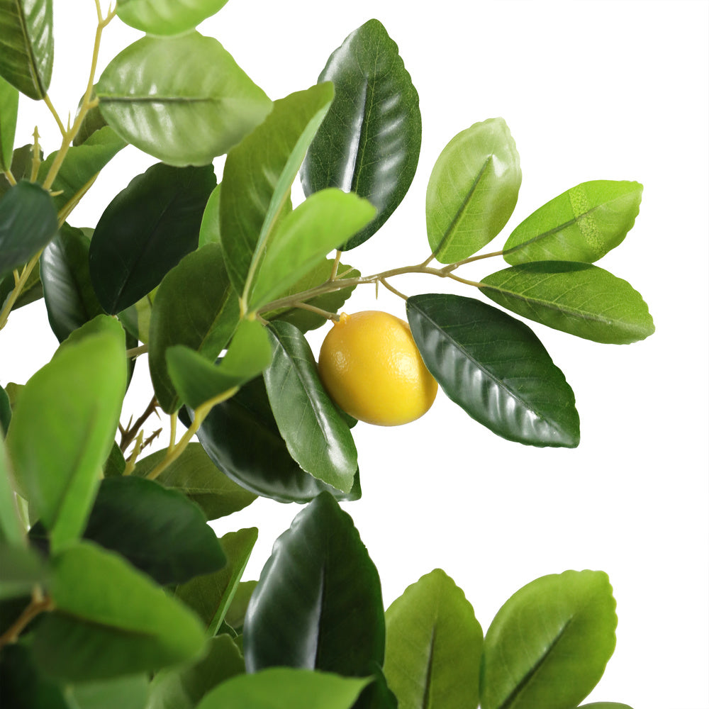 hjh OFFICE Kunstpflanze Kunstbaum Zitronenbaum LEMON Deko 135 cm grün künstlich - 4064323036531