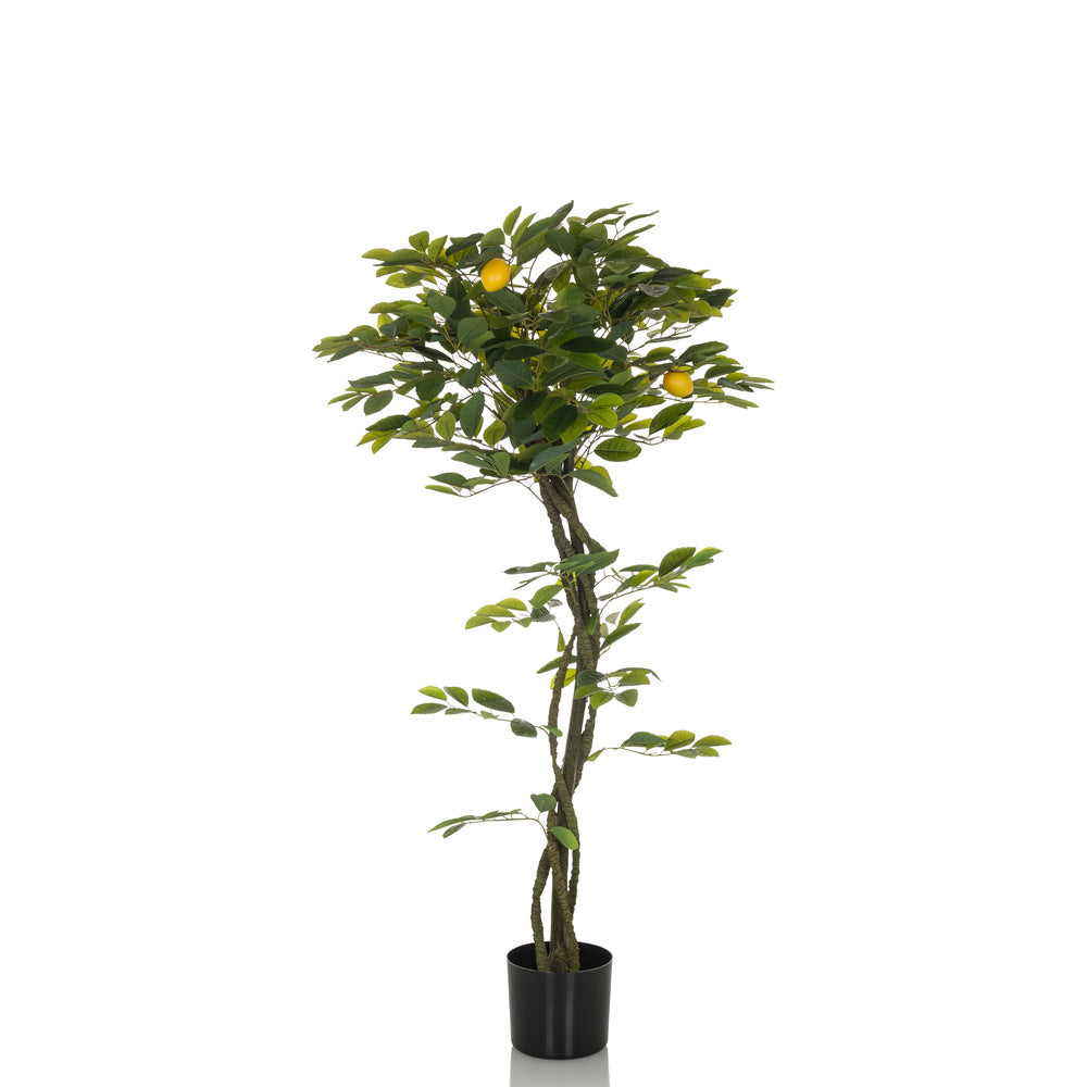 hjh OFFICE Kunstpflanze Kunstbaum Zitronenbaum LEMON Deko 135 cm grün künstlich - 4064323036531