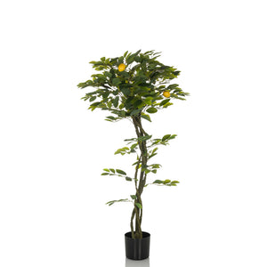 B-Ware hjh OFFICE Kunstpflanze Kunstbaum Zitronenbaum LEMON Deko 135 cm grün künstlich