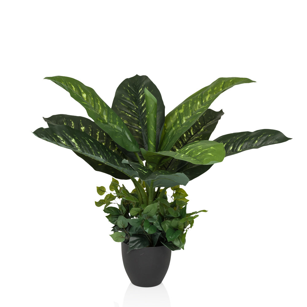 hjh OFFICE Kunstpflanze Kunstbaum DIEFFENBACHIA Zimmerpflanze 80 cm - 4064323045786