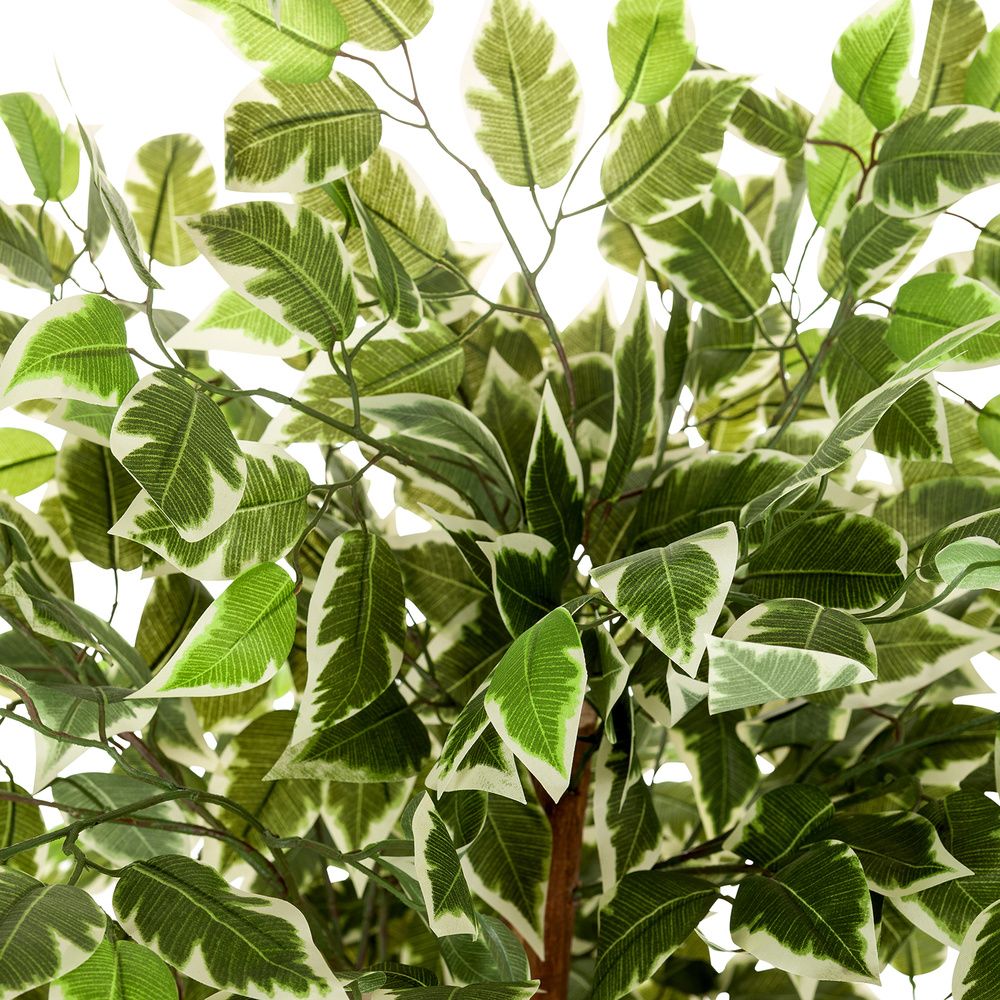  hjh OFFICE Kunstpflanze Kunstbaum FICUS Kunststoffpflanze Baum Kunststoff grün - 4251084696948