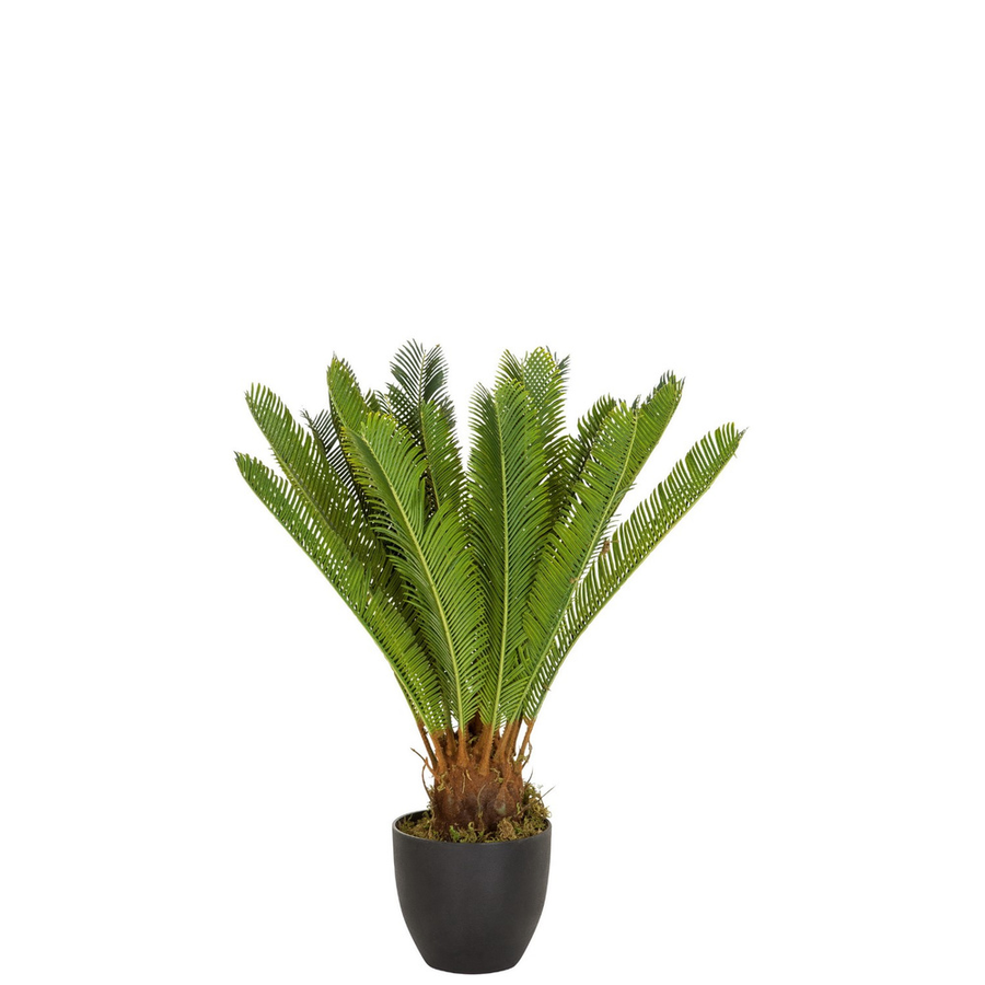 Hjh Office Kunstpflanze Kunstpalme Cycas Kunst Pflanze Palme Kunststoff Grün B-Ware - 4251084696986