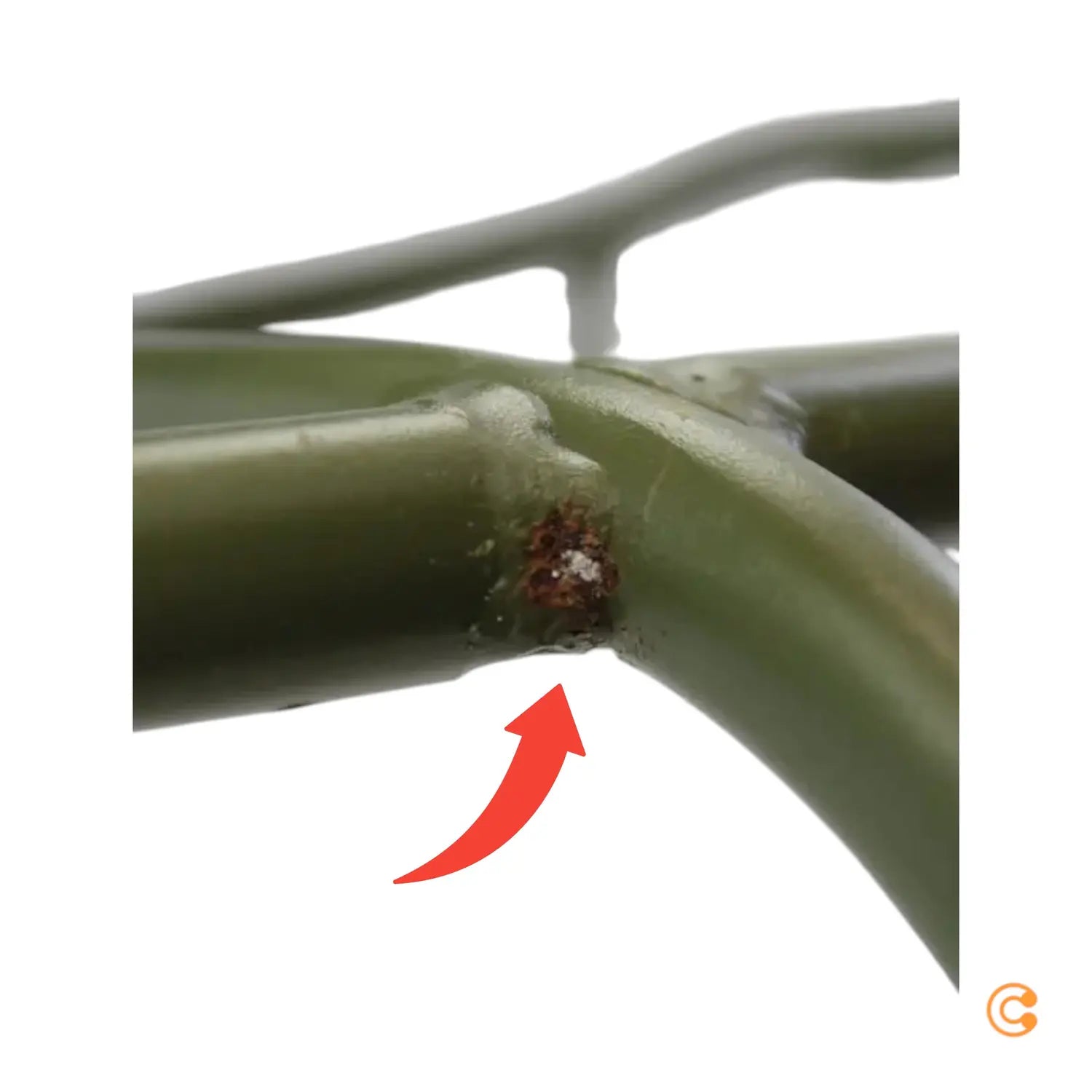 B-Ware Hübsch Interior Arch Stuhl Esszimmerstuhl Küchenstuhl Grün Siehe Text/Foto - 5712772137093