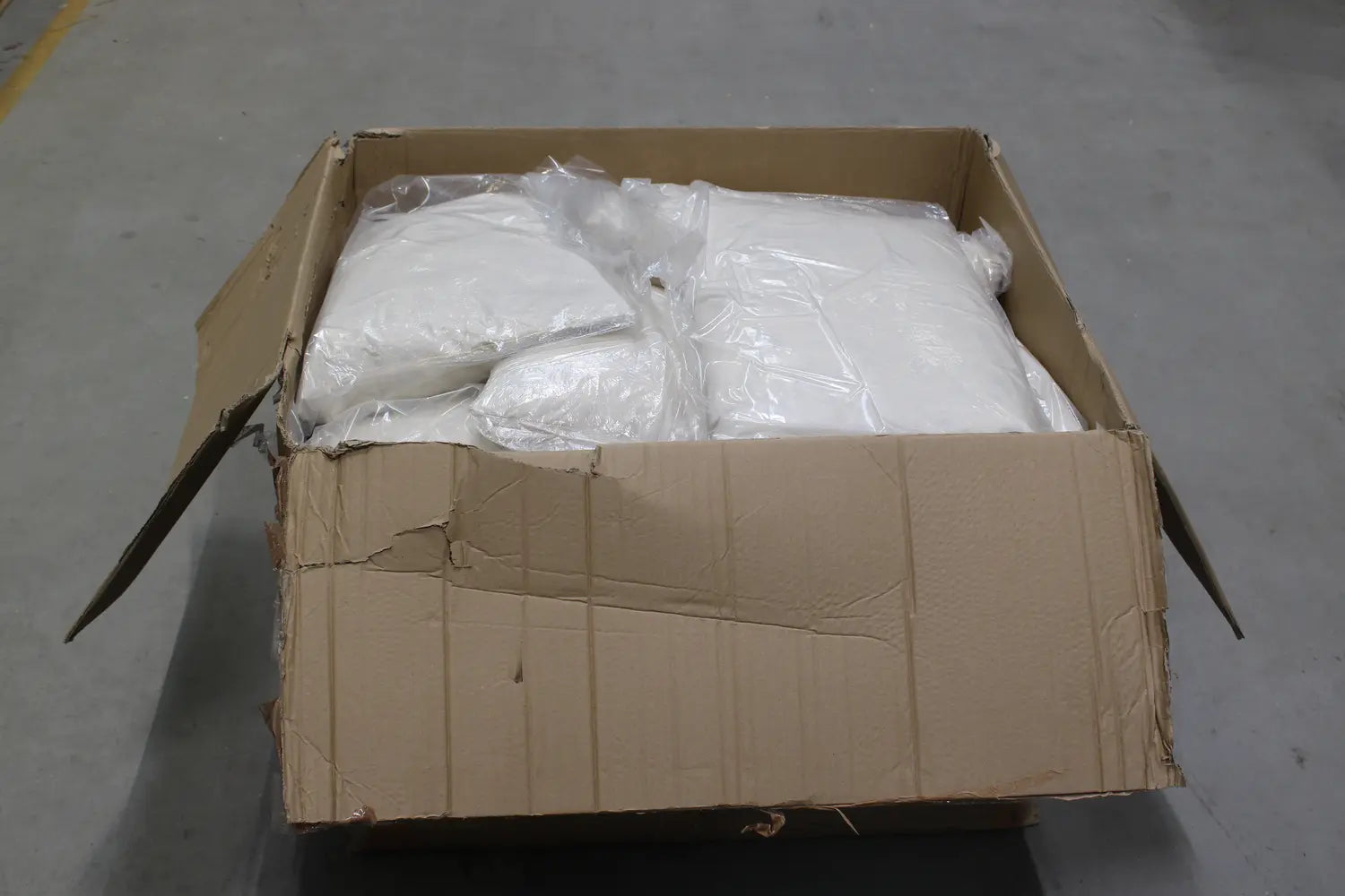 B-Ware Ib Laursen Kissen Inlett Kissenfüllung Füllkissen 60x40cm 800gr 17 Stück - 5710575406026