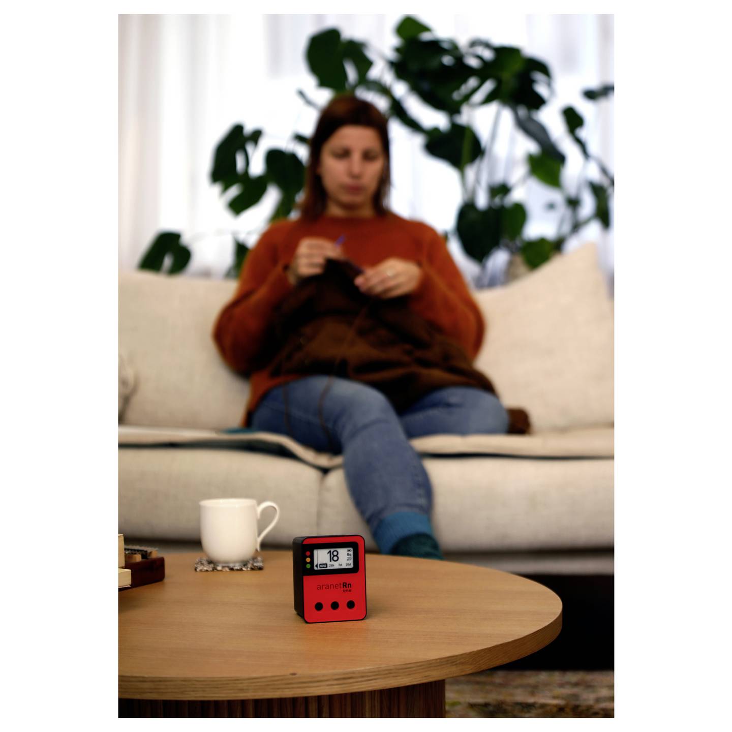Aranet Radon-Messgerät 0-4000 Bq/m³ Luftqualitätsmessgerät Radonmonitor weiß - 4752213000570
