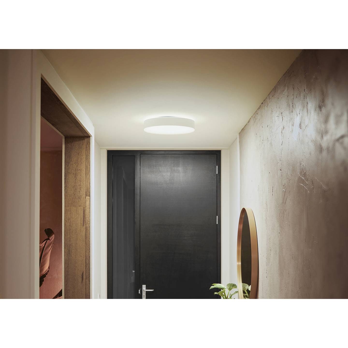 Philips Hue Deckenleuchte White Ambiance Enrave M LED Lampe dimmbar 2400lm weiß - 8718696176436
