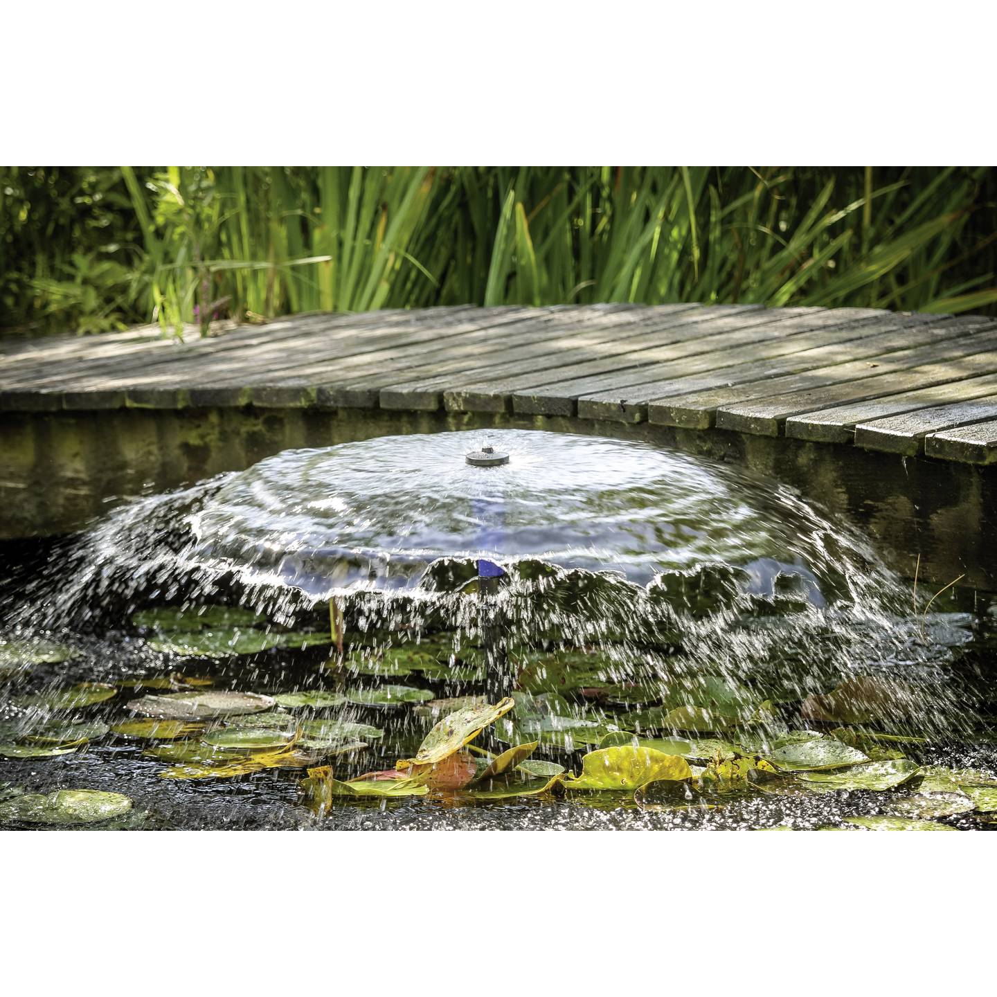 Renkforce Springbrunnenpumpe Edelstahl 3000l/h 120W 4m Förderhöhe Gartenpumpe - 4016138918885